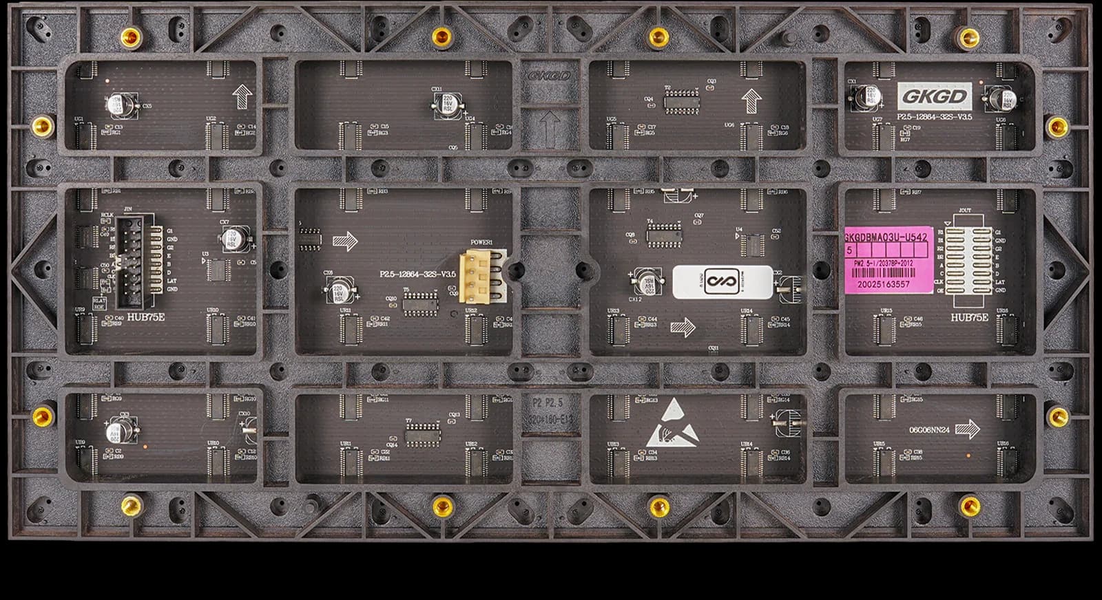 Back-Main-Image-3